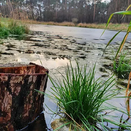 Hébergement de vacances Lemo - Nad Samym Jeziorem, Nowe W Pelni Wyposazone Z Miejscem Parkingowym Borsk
