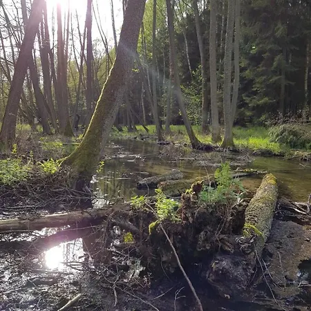 Prázdninový dům Lemo - Nad Samym Jeziorem, Nowe W Pelni Wyposazone Z Miejscem Parkingowym Borsk