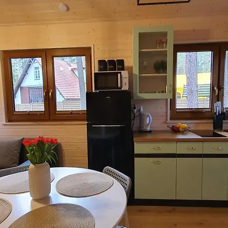 Lemo - Nad Samym Jeziorem, Nowe W Pelni Wyposazone Z Miejscem Parkingowym Borsk