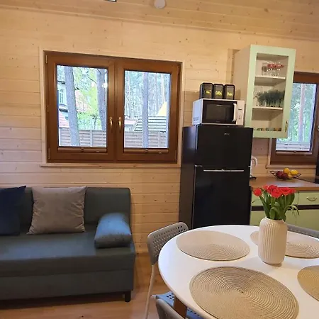 Lemo - Nad Samym Jeziorem, Nowe W Pelni Wyposazone Z Miejscem Parkingowym Hébergement de vacances Borsk