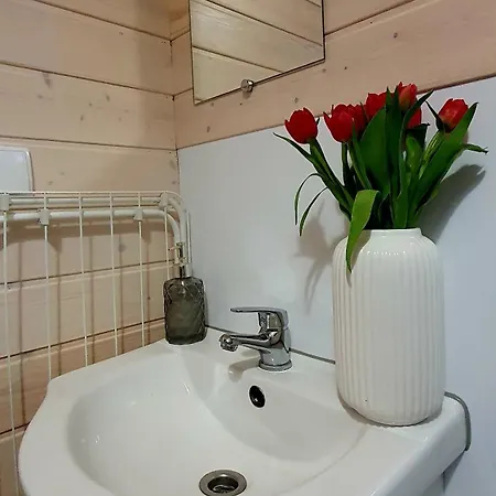 Lemo - Nad Samym Jeziorem, Nowe W Pelni Wyposazone Z Miejscem Parkingowym Borsk