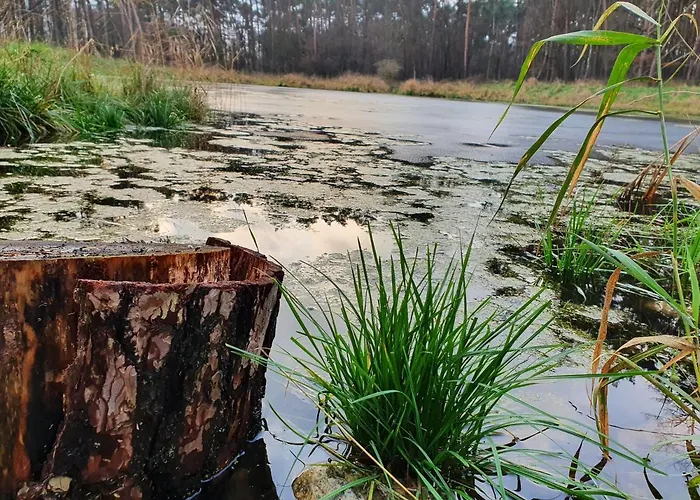 בית נופש Lemo - Nad Samym Jeziorem, Nowe W Pelni Wyposazone Z Miejscem Parkingowym בורסק