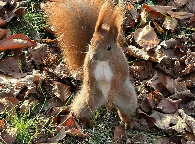 Lemo - Nad Samym Jeziorem, Nowe W Pelni Wyposazone Z Miejscem Parkingowym בית נופש בורסק