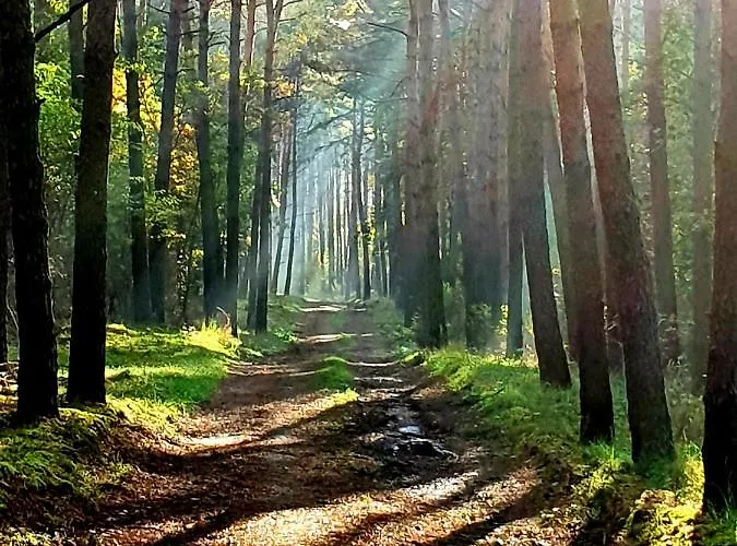 Semesterbostad Lemo - Nad Samym Jeziorem, Nowe W Pelni Wyposazone Z Miejscem Parkingowym