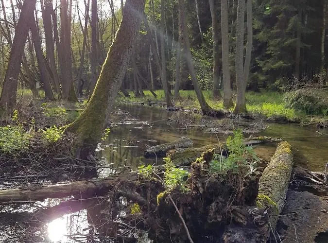 Semesterbostad Lemo - Nad Samym Jeziorem, Nowe W Pelni Wyposazone Z Miejscem Parkingowym Borsk